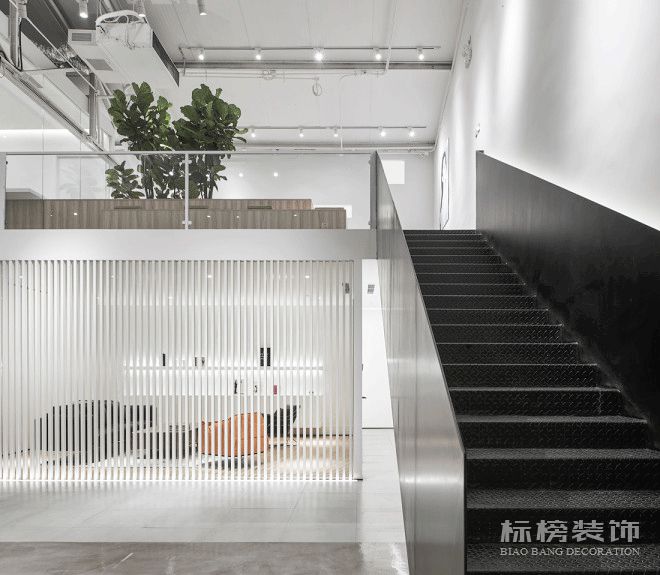 辦公室植物擺放植物有哪些，怎么擺放比較好？